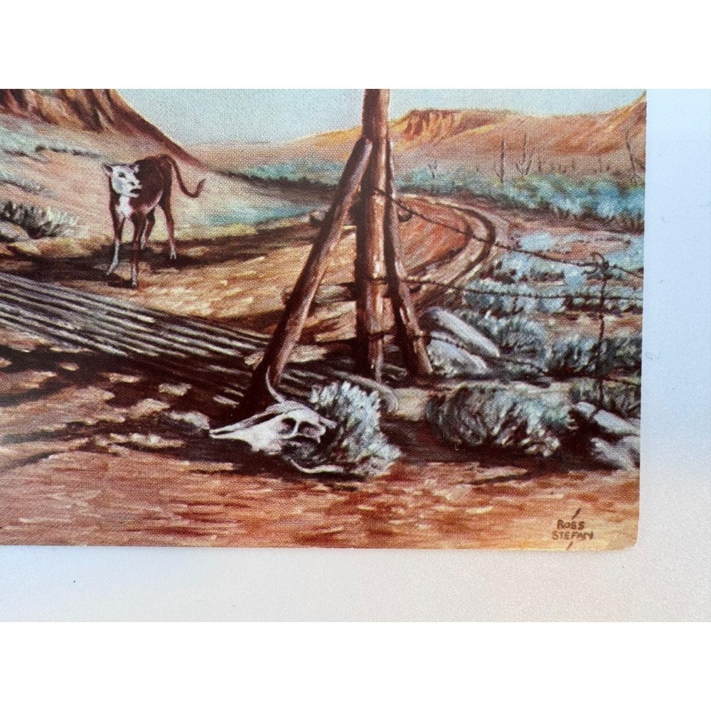 Lot 3 Ross Stefan 1948 Uncirculated Postcards A New Experience Good Scout Attack - Picture 14 of 15